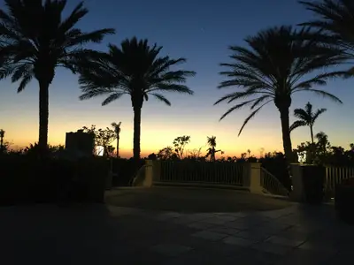Palm silhouettes at sunset in Naples, Florida.

Photo: Carrie Stary / Unsplash